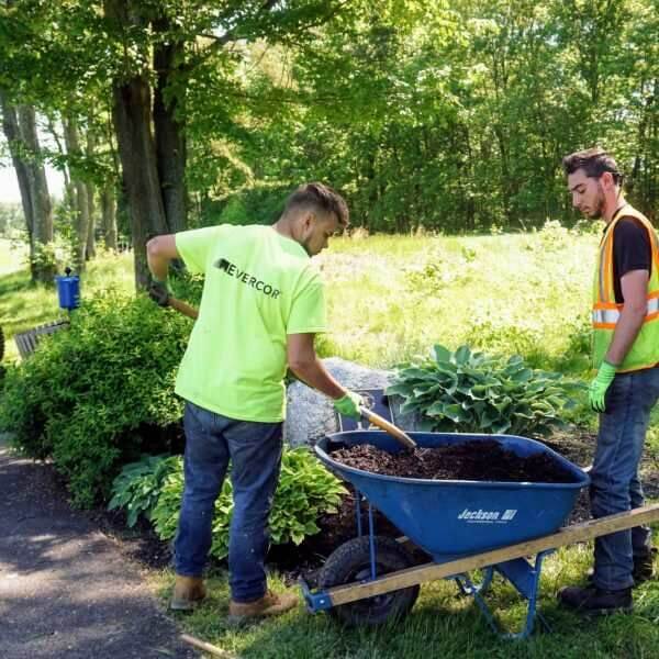 Evercor Landscaping Crew